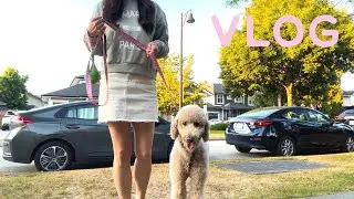 Sub)밴쿠버브이로그|열무냉면만들기|브런치맛집|코스트코장보기|여름캠핑|출근일상|