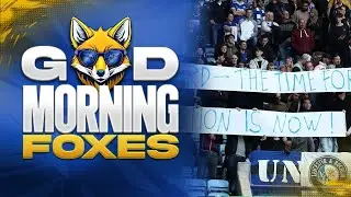 A Fanbase Divided and Fighting! Good Morning Foxes