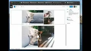 Image Blocks in WordPress