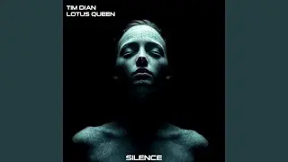 Silence (Remix)