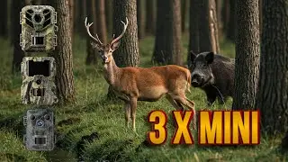 Welche Mini Wildkamera liefert die besten Aufnahmen? Coolife vs. D&ouml;rr vs. K&F