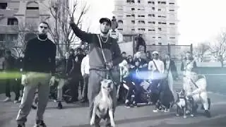 Z8 - FREESTYLE Z // 2020