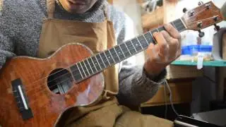 NEW/Ana'ole Ukulele ACS Private custom model@guitarshoptantan