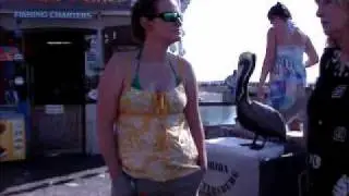 St. Pete Pier Vote #1