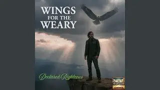Wings for the Weary