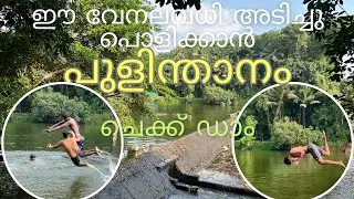 കൊടും ചൂടിൽ മുങ്ങി കുളിക്കാൻ പുളിന്താനം ചെക്ക് ഡാം||Pulinthanam Check Dam@TravelWithAnil8154