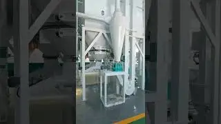 100TPD Corn Flour Milling Plant | Large-Scale Maize Processing Line by Voson Machinery