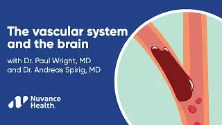 Find Out Why Vascular Health is Critical for Brain Health