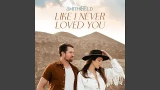 Like I Never Loved You