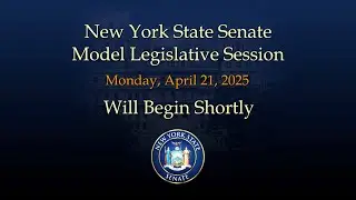 2025 Model Legislative Session