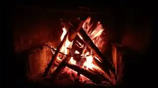 8 Hours Cozy Campfire Crackling Sounds | Relaxing Fire Ambience for Sleep & Study
