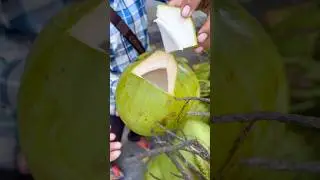 Wow Amazing Coconut Cutting Skill #shorts #satisfying #asmr