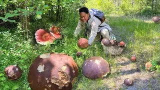 GIANT MUSHROOM FORAGING & MUKBANG!!! FUNGHI PORCINI! MUSHROOM. PICKING WILD MUSHROOMS. KABUTE!!!