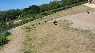 Summoning the crows!