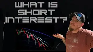 What is Short Interest and Why is it Important? - Featuring Benzinga Pro