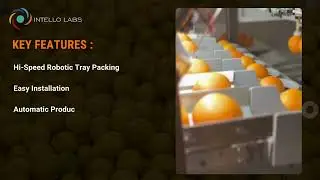 Intello Labs Citrus Fruit Packer Machine!!