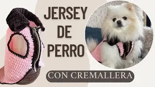 El Jersey para Perro más Fácil y Cómodo | Tutorial de crochet paso a paso con CREMALLERA!!