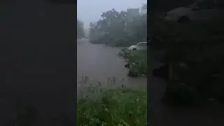 Wazir Lane Jammu #jammukashmir #flashfloods #india #naturaldisaster #asia #trendingshorts #viral