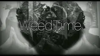 Mirate 💛💛💛 😎WeedTime 😎 🎶