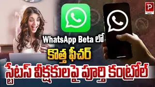New Feature in WhatsApp Beta &ndash; Full Control Over Status Viewers | Popular TV Daily