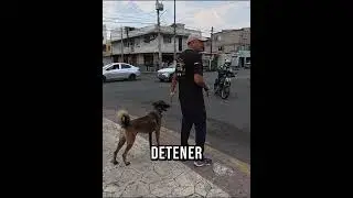 Stop y en Guardia 2 comandos super importantes