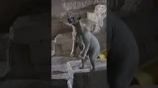 Ночной зоопарк...Night zoo... #белыймедведь #zoo #animals #polarbear #polarbearlove #bear