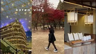 [korea vlog] autumn in seoul 🍁 exploring seongsu, shopping in hongdae, what i eat in korea