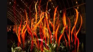 Transient - Night Garden
