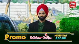 జైల్లో ఉన్న భర్త బెయిల్ కోసం సింధుకి అవకాశం దొరికితే..?! | Manasantha Nuvve | Mon - Sat @ 8:30 PM