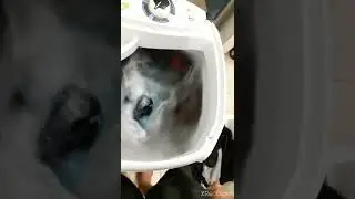 Lavadora Suggar Lavamax Eco 10kg