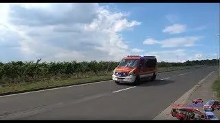 Wasserrettungseinsatz in Hochheim - Einsatzfahrten Einsatzkräfte Main-Taunus-Kreis & Wiesbaden