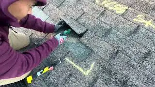 Shingle Brittle Test #foryoupage #fypシ゚ #feedshorts #youtube