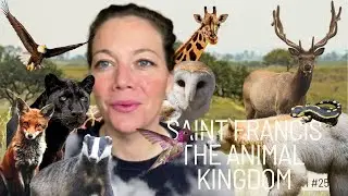 A Sacred Cleansing: A Protective Message from Saint Francis and the Animal Kingdom