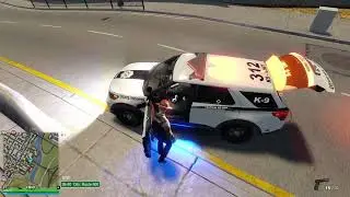 Flashing Lights Game Play And Light Setup