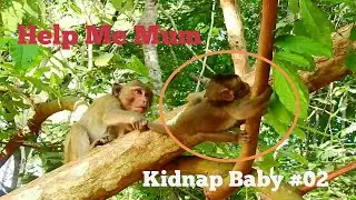 OMG Kidnapper Monkey Kidnap Baby Lucas Long Time, Baby Try Hard To Escape, Lucas Was Kidnapped 02