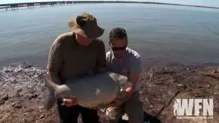 Fishing for Huge Carp and Buffalo