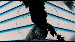 Bleez - PIZDE CU BLUGI (REMIX)