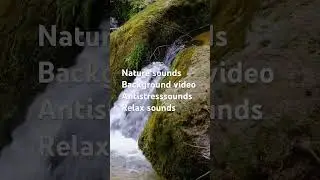 #исцеляющиезвукиприроды #relaxing #calming #relax #antistresssounds #backgroundvideo #nature#shorts