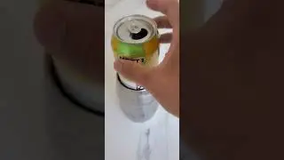Mott's Apple Juices