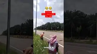 😱 #shot #Speed #Vision #viral