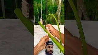 বাঁশের বন্দুক #archery #bamboo #diy #toy #duet #anaconda