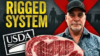 The Beef Industry Is Rigged &mdash; And Ranchers Are Paying the Price