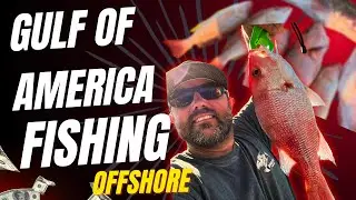 American Red Snapper Fishing