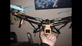New woof vtx