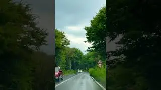 Belgrad forest driving tour