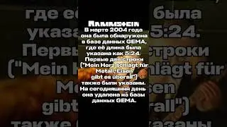 На заднем фоне играет данная песня. #rammstein #rammsteinforever #metall #rock #eisenmann