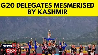 G20 Delegates Enjoy Indian Hospitality In Kashmir | G20 Summit In Srinagar | English News | News18