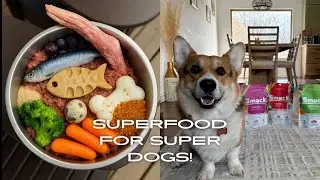 I Switched to Raw Dehydrated Dog Food - Here's What Happened!