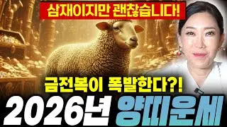 🐑2026년 병오년 대박나는 양띠운세🐑금전복이 폭발한다?! 삼재여도 괜찮습니다! 55년 67년생 79년생 91년생 03년생 양띠 운세!