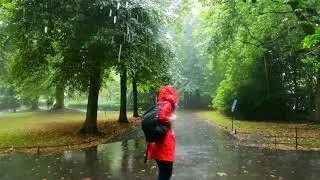 Heavy Rain Dublin Ireland Walk in St.Stephen's Green Park